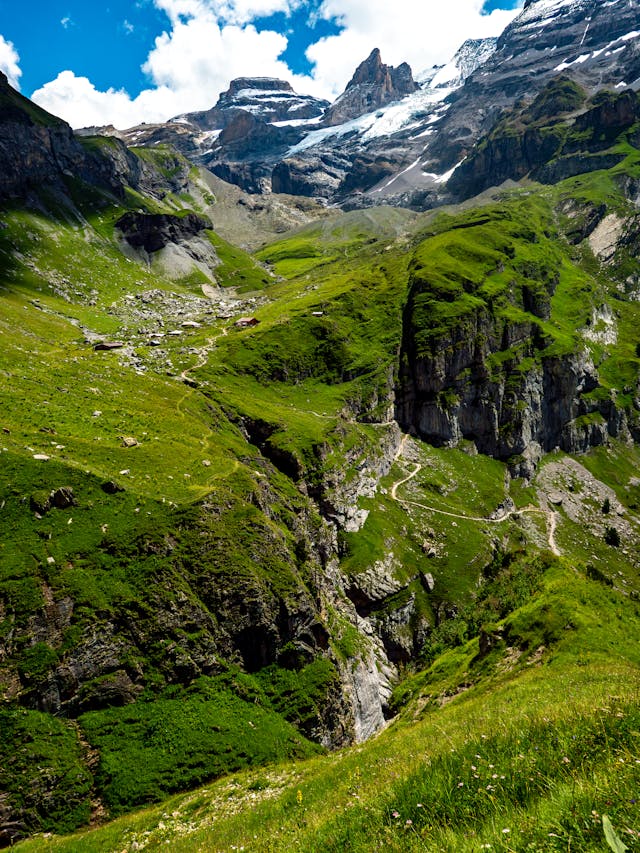 Lesná stezka v Alpách